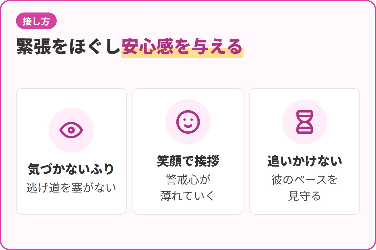 緊張をほぐし安心感を与える